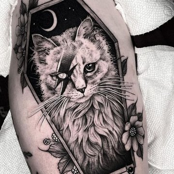 cat tattoo