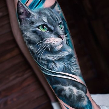 Katės tatuiruotės