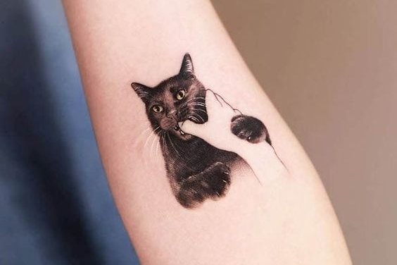Katės tatuiruotės
