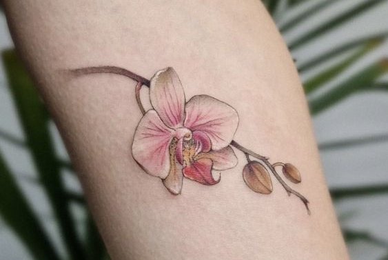 3D tatuiruotės