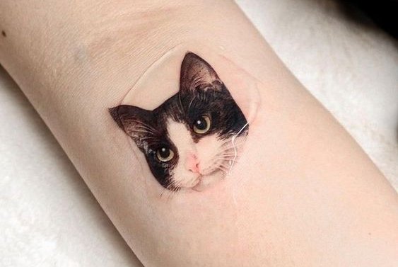 Katės tatuiruotės
