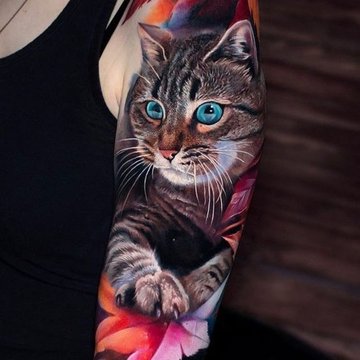 Katės tatuiruotės