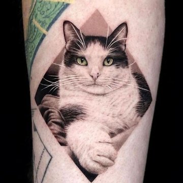 Katės tatuiruotės