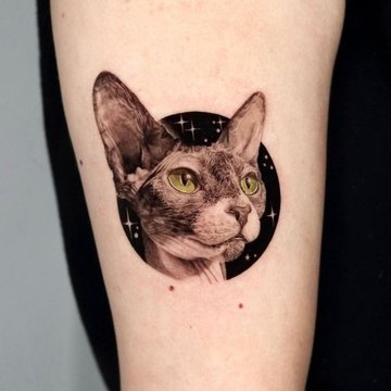 Katės tatuiruotės