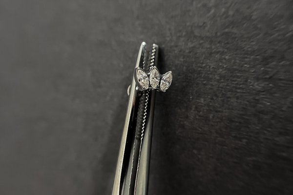 Piercing in Kaunas