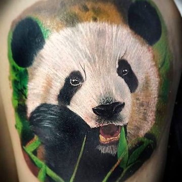 panda tatuiruotė