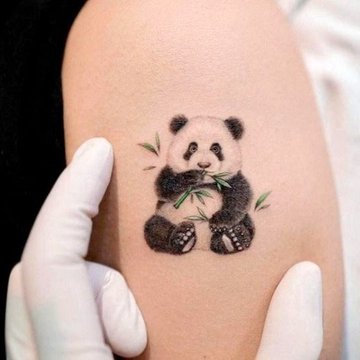 panda tatuiruotė