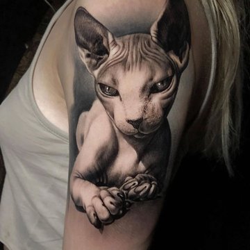 Sfinkso tatuiruotė