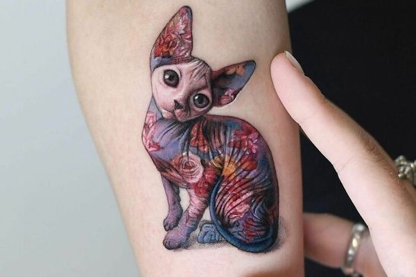 Sfinkso tatuiruotė