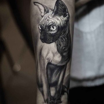 Sfinkso tatuiruotė