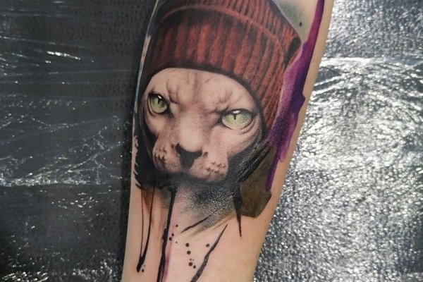 Sfinkso tatuiruotė