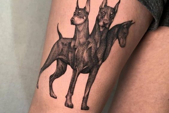 tatuiruotė su dobermanu