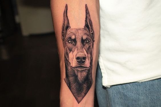 tatuiruotė su dobermanu
