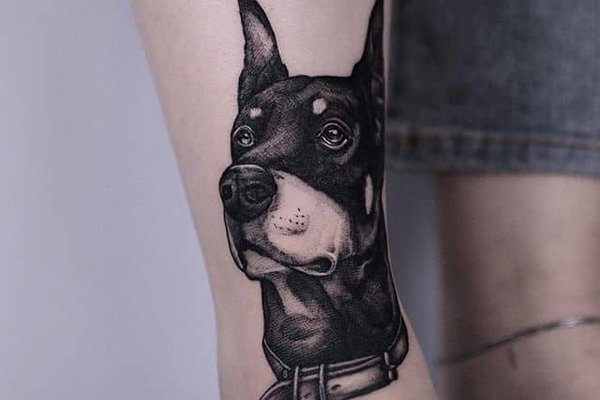 tatuiruotė su dobermanu