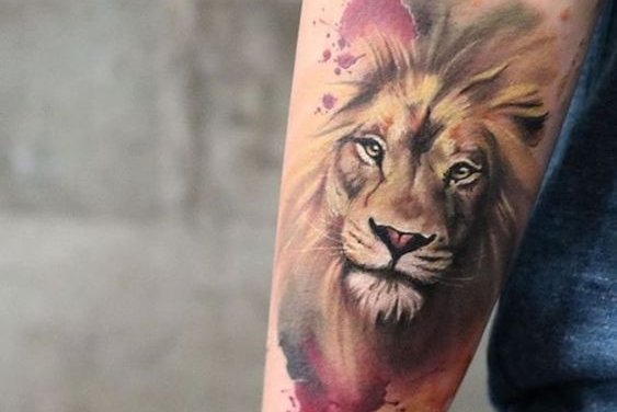 Lion Tattoo