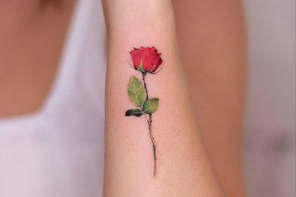 Rožės tatuiruotė
