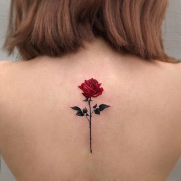 Rožės tatuiruotė