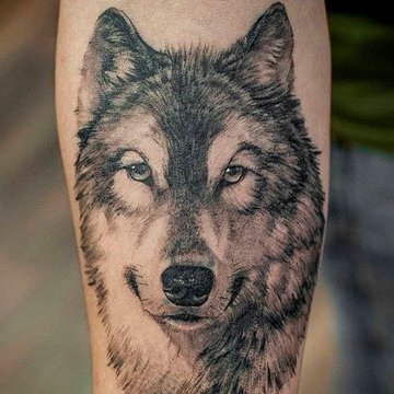 vilkų tatuiruotę